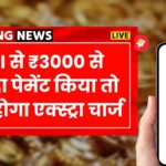 UPI Payment New Rules